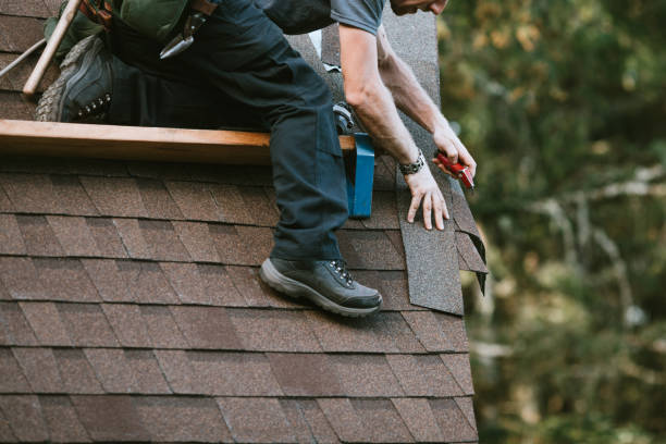 Best Metal Roofing Contractor  in Buckeystown, MD